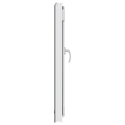 Finestra per Soffitta RISOR 60 x 100 cm PVC e Vetro Antracite | homemem39