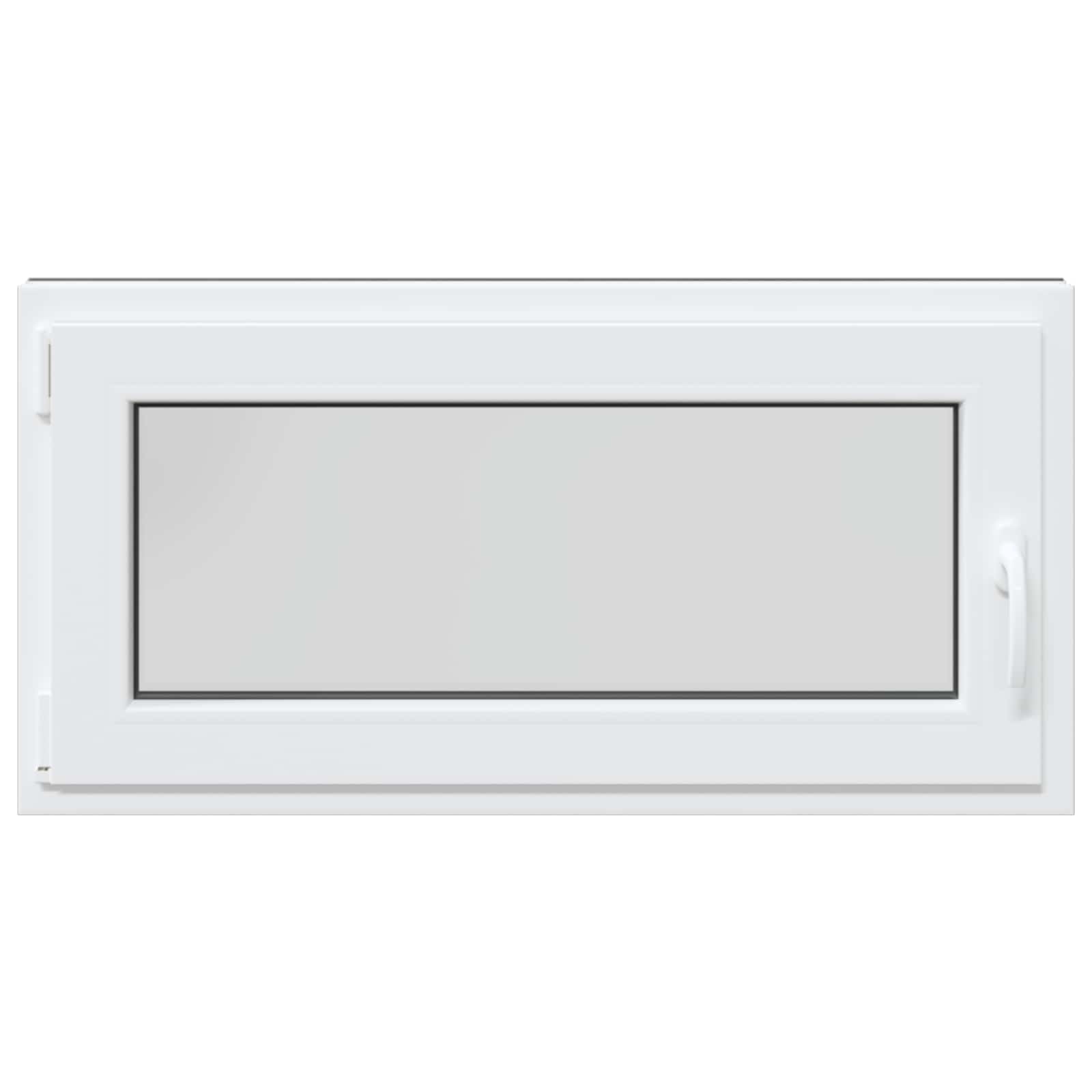 Finestra per Soffitta RISOR 100 x 50 cm PVC e Vetro Antracite | homemem39