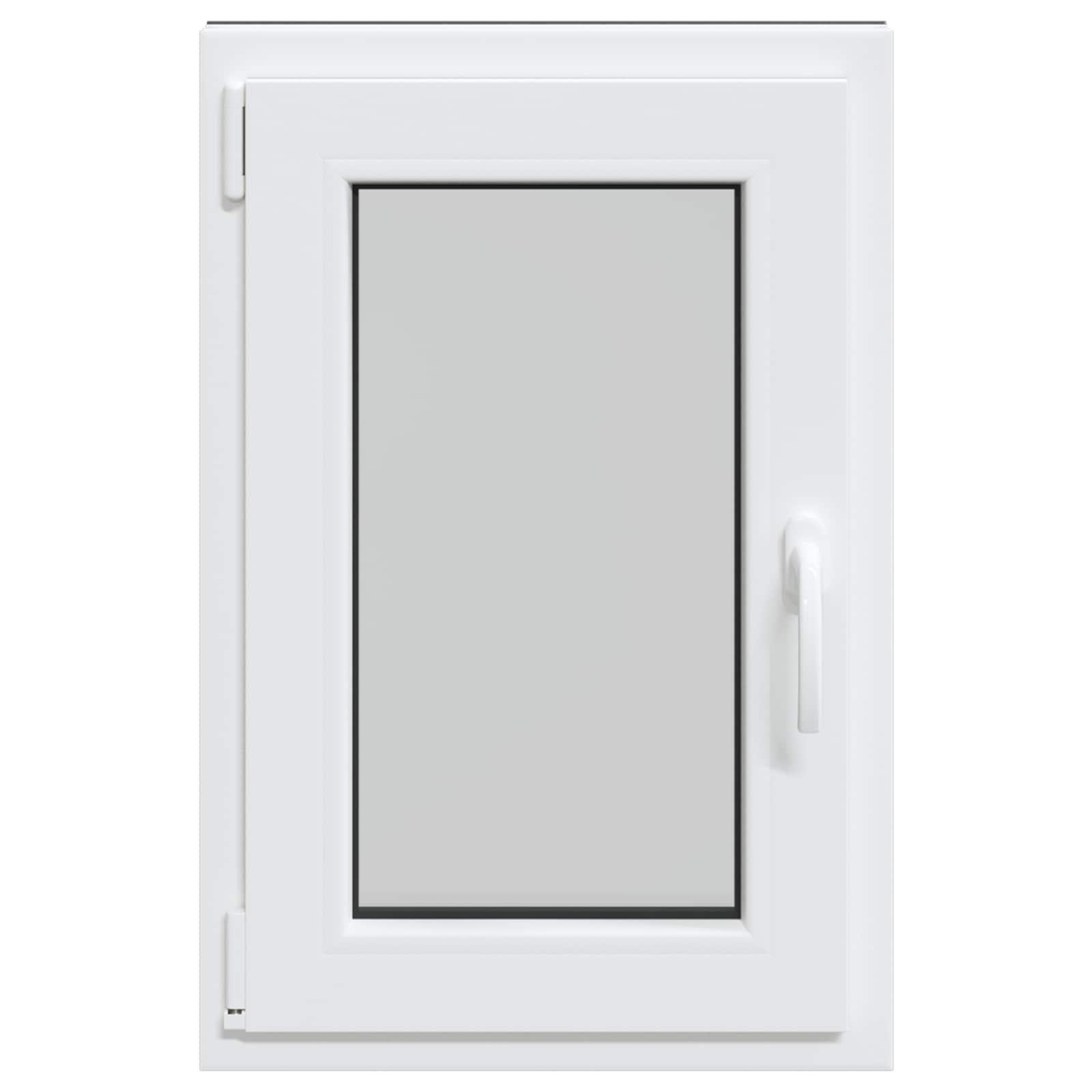 Finestra per Soffitta RISOR 50 x 75 cm PVC e Vetro Antracite | homemem39