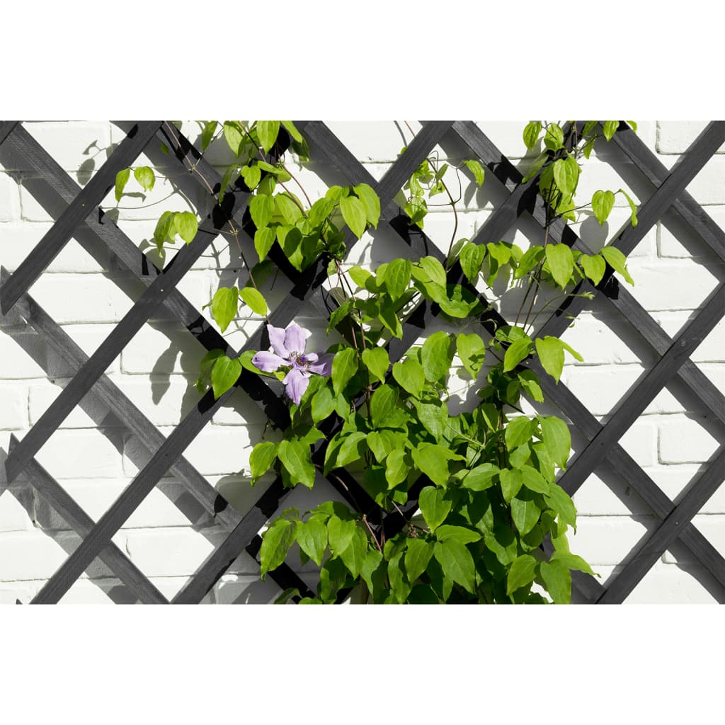 Nature Traliccio da Giardino 50x150 cm in PVC Antracite - homemem39