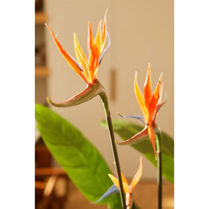 Emerald Strelitzia Pianta Artificiale in Vaso con Fiori 120 cm - homemem39