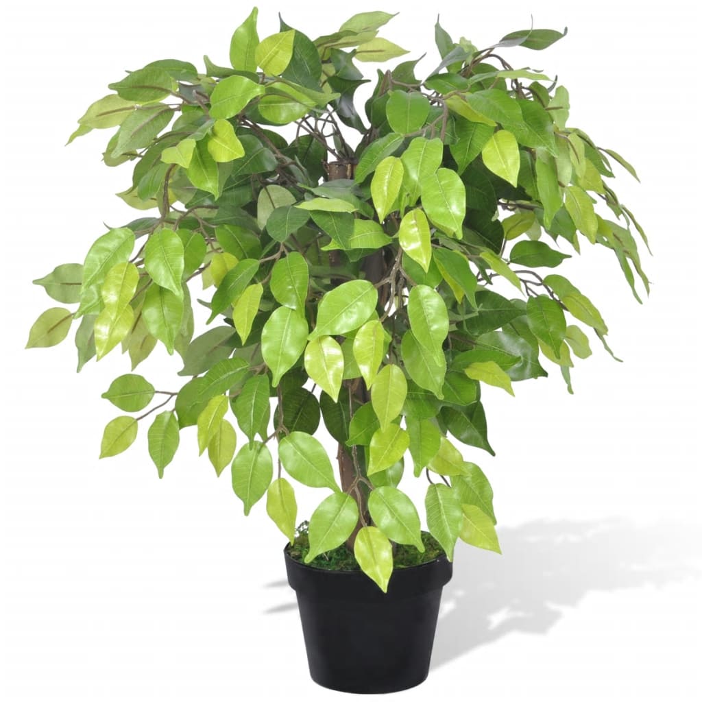 Ficus Nano Artificiale con Vaso 60 cm - homemem39
