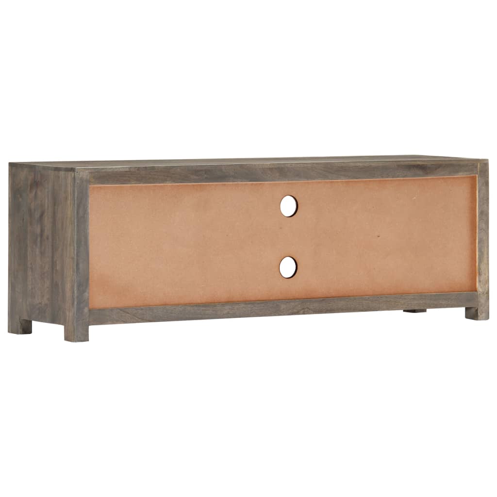 Mobile Porta TV Grigio 120x30x40 cm in Legno Massello di Mango - homemem39