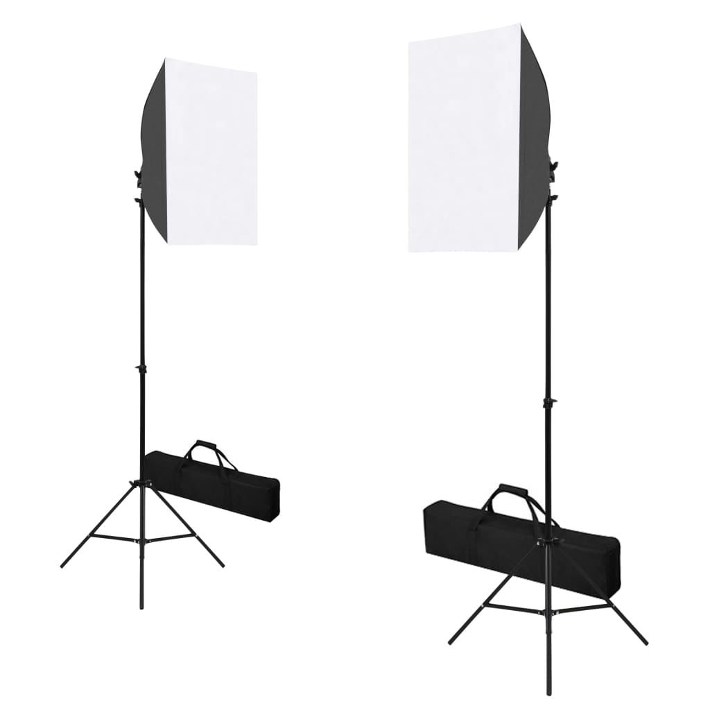 Luci Professionali per Set Fotografico 2pz 40x60cm Acciaio Nero - homemem39