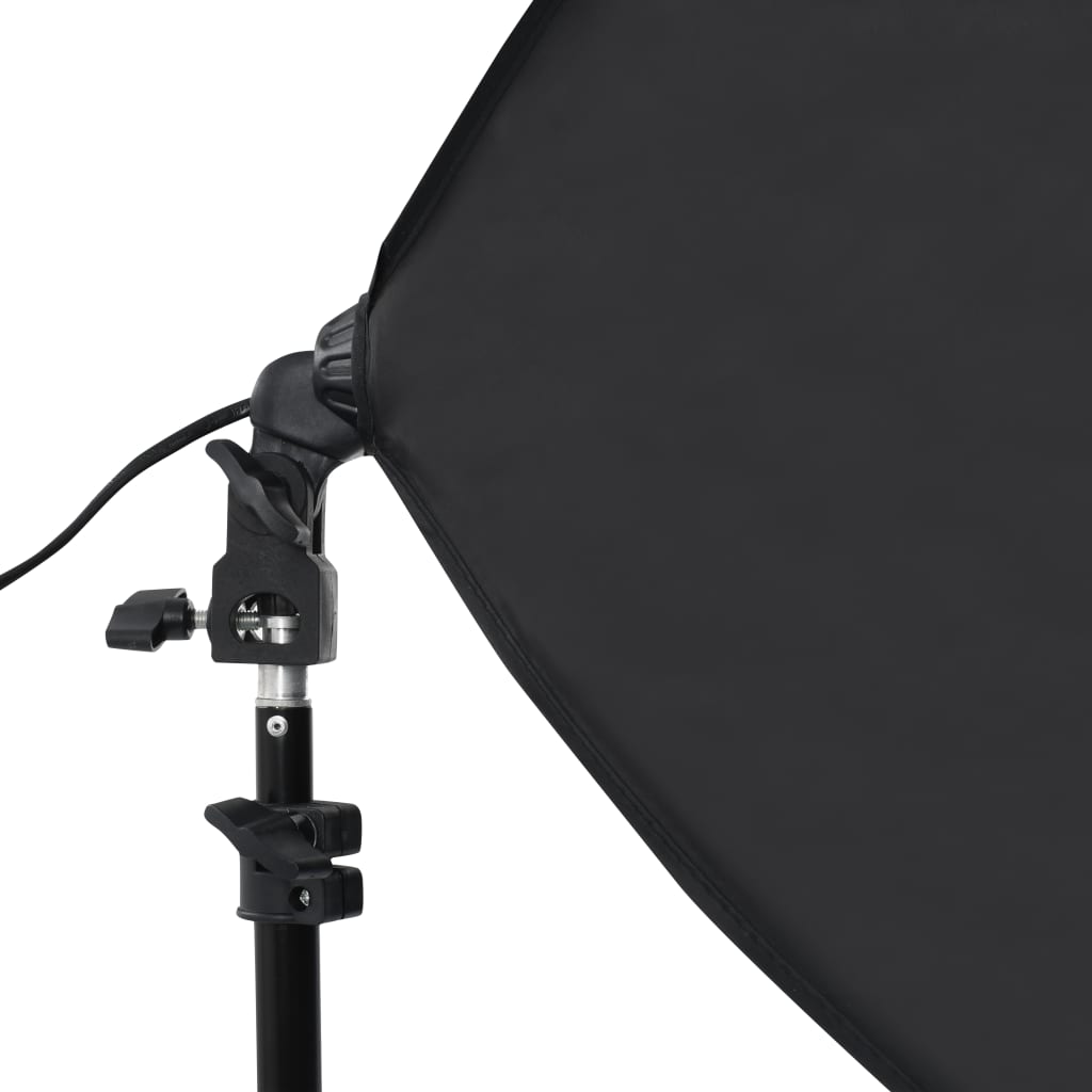 Luci Professionali per Set Fotografico 2pz 40x60cm Acciaio Nero - homemem39