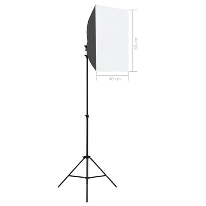 Luci Professionali per Set Fotografico 2pz 40x60cm Acciaio Nero - homemem39