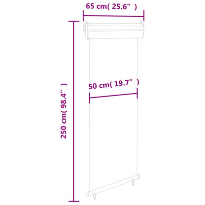 Tendalino Laterale per Balcone 65x250 cm Grigio - homemem39