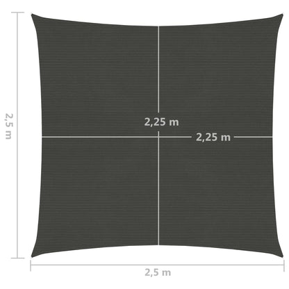 Vela Parasole 160 g/m² Antracite 2,5x2,5 m in HDPE - homemem39