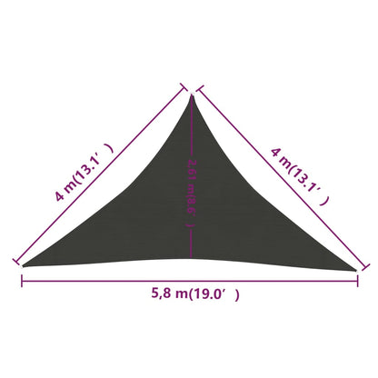 Vela Parasole 160 g/m² Antracite 4x4x5,8 m in HDPE - homemem39