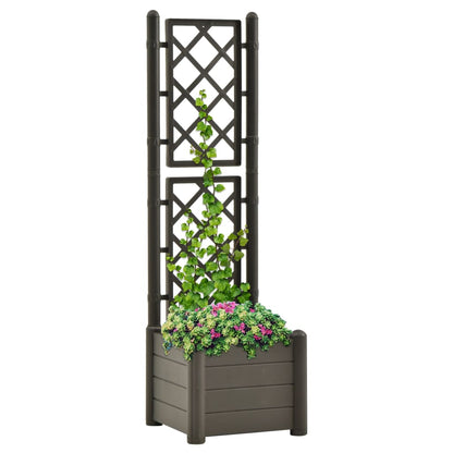 Fioriera da Giardino con Graticcio 43x43x142 cm PP Antracite - homemem39