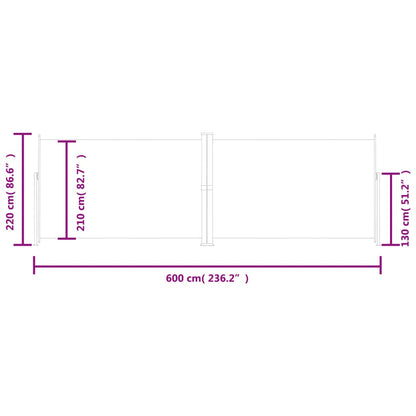 Tenda da Sole Laterale Retrattile Antracite 220x600 cm - homemem39