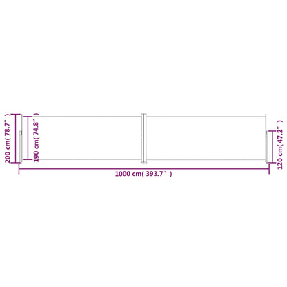 Tenda da Sole Laterale Retrattile Antracite 200x1000 cm - homemem39