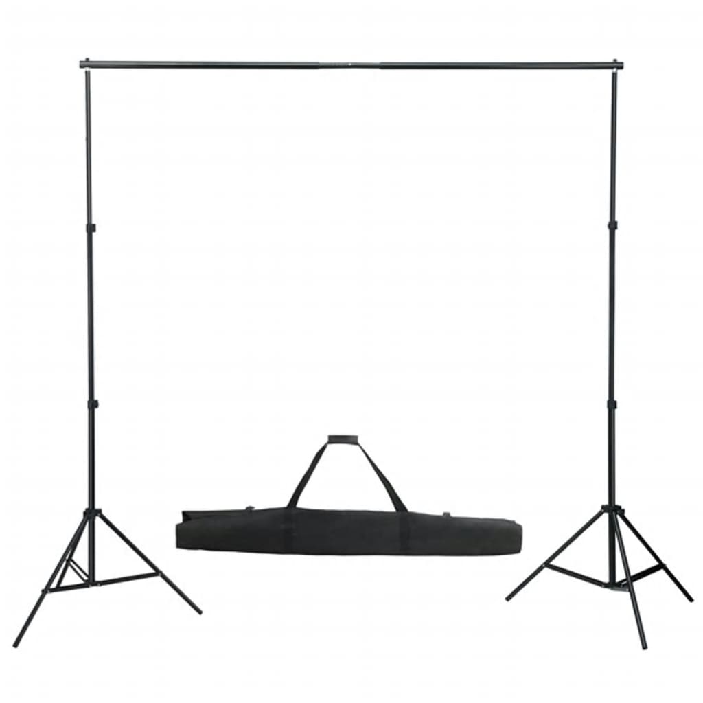 Kit per Studio Fotografico con Set Luci, Fondale e Riflettore - homemem39