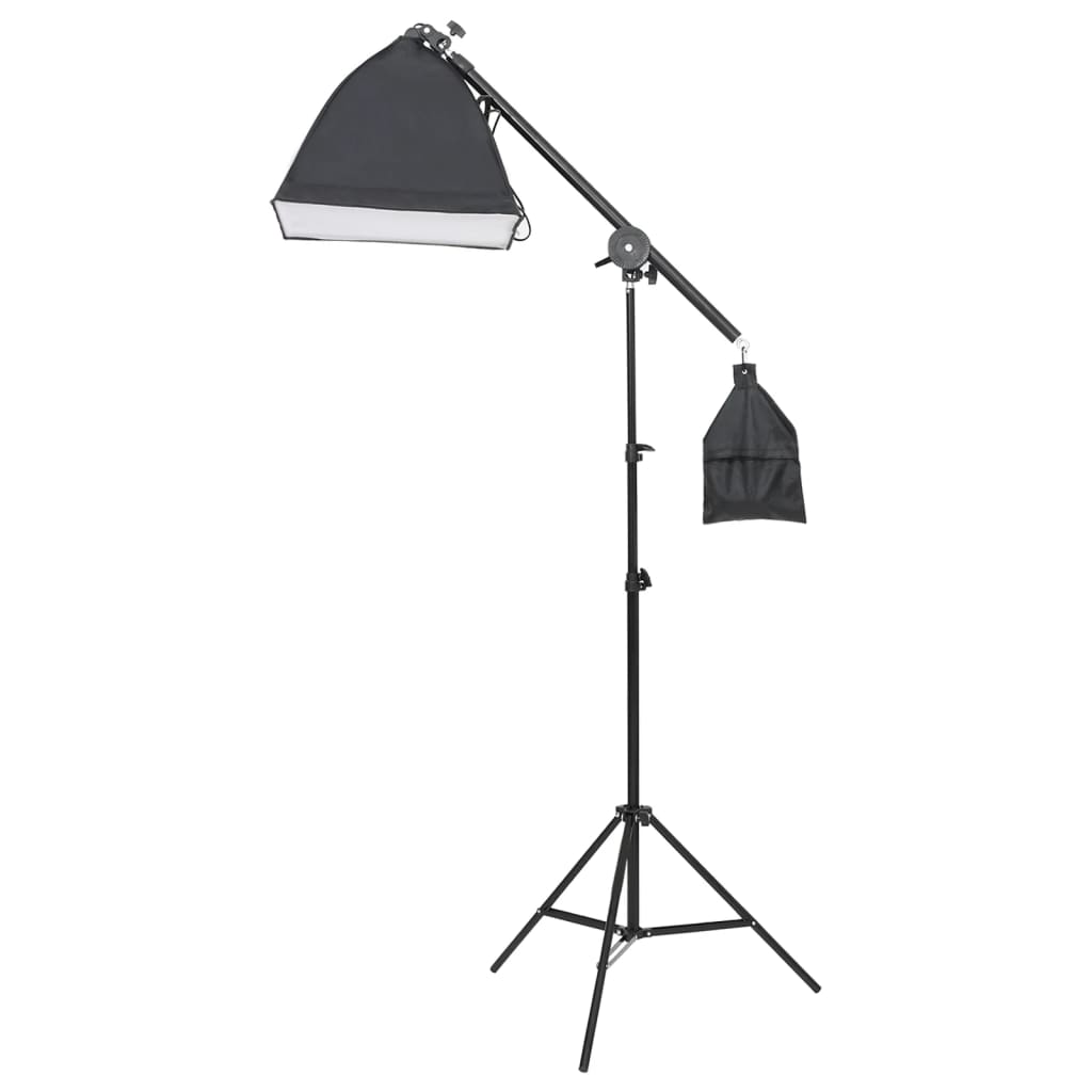 Kit per Studio Fotografico con Set di Luci e Fondale - homemem39