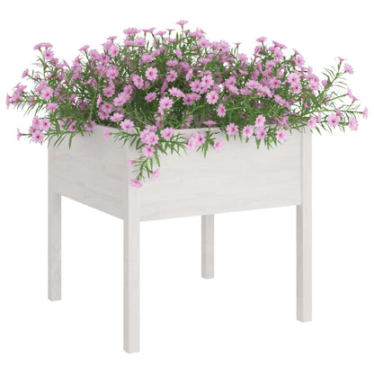 Fioriere da Giardino 2 pz Bianche 70x70x70 cm in Legno di Pino - homemem39