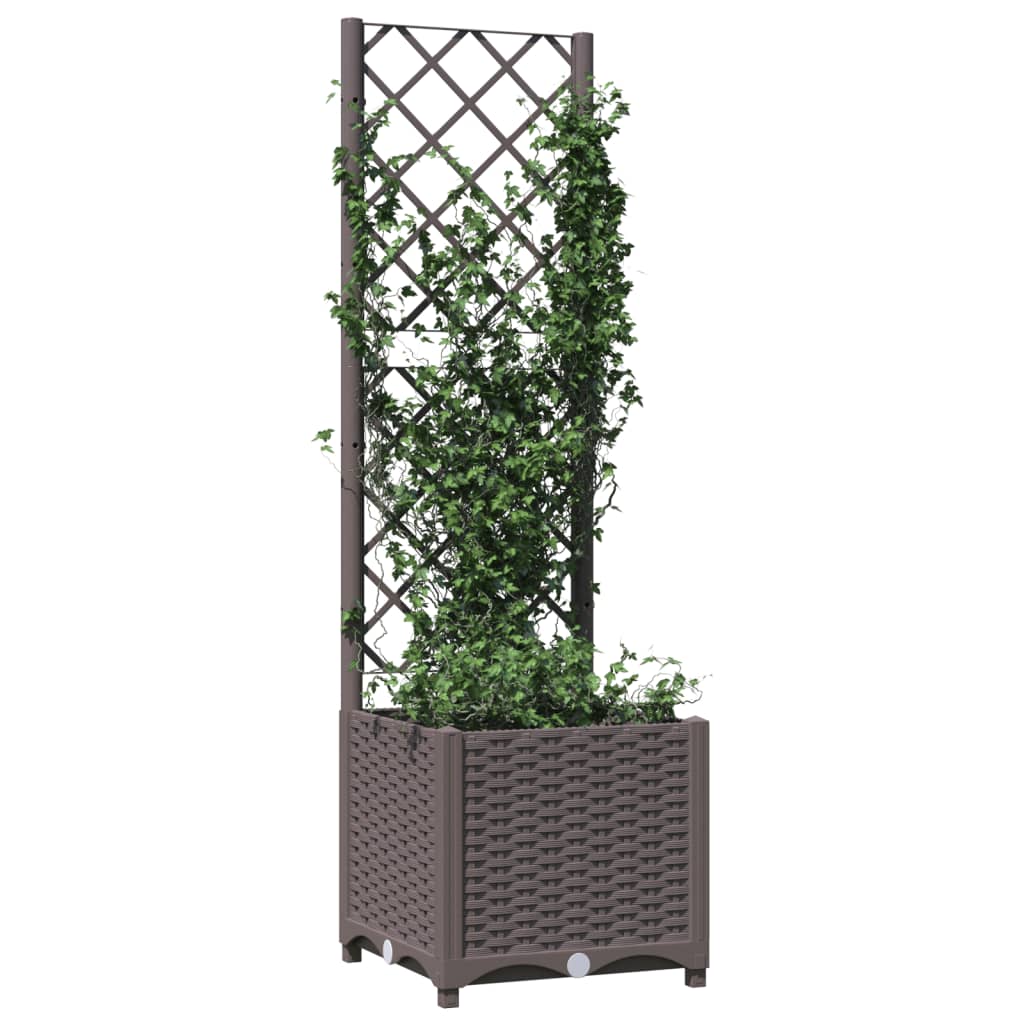 Fioriera da Giardino con Graticcio Marrone 40x40x136 cm in PP - homemem39