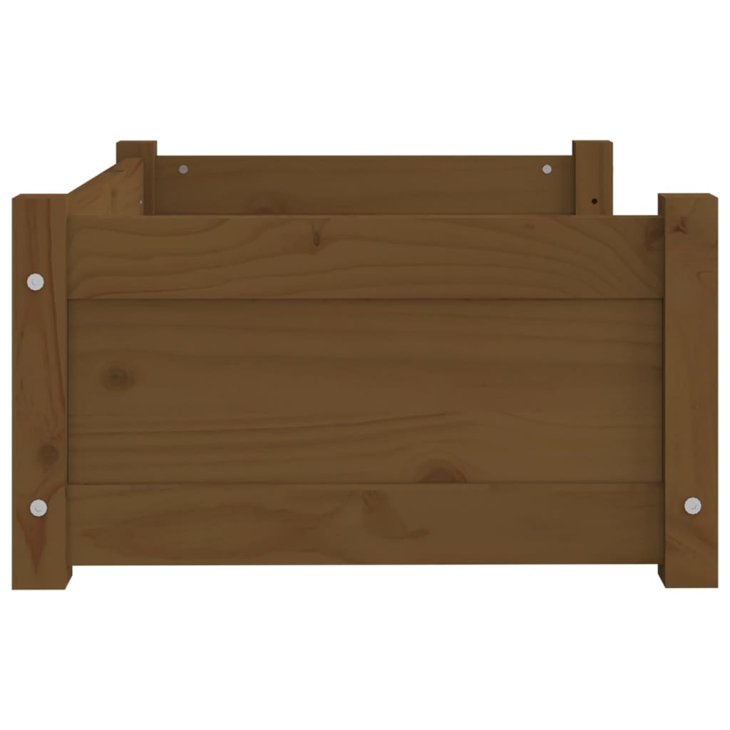 Cuccia per Cani Miele 65,5x50,5x28cm in Legno Massello di Pino - homemem39