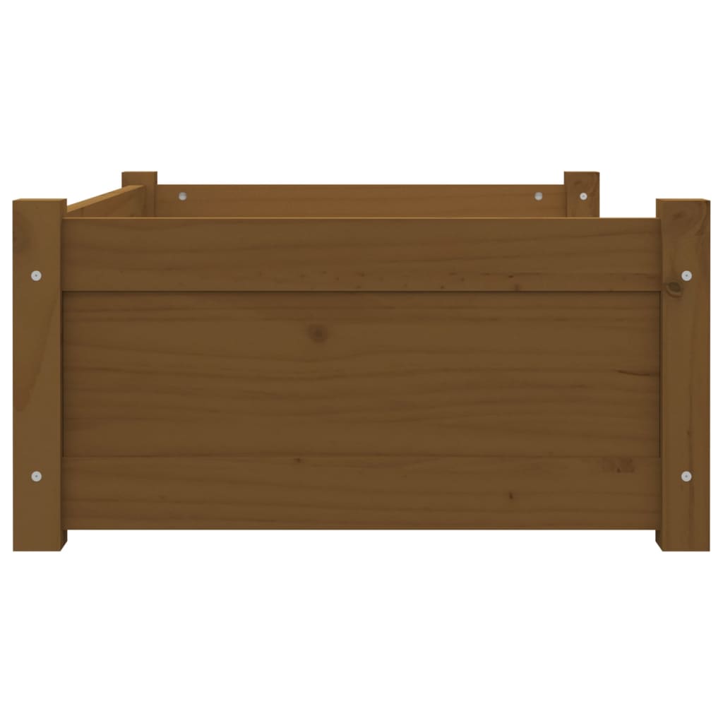 Cuccia per Cani Miele 75,5x55,5x28cm in Legno Massello di Pino - homemem39