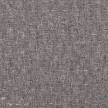 Cuscini Decorativi 2 pz Grigio Chiaro 40x40 cm in Tessuto - homemem39