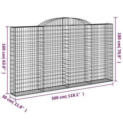 Cesti Gabbioni ad Arco 4 pz 300x30x160/180 cm Ferro Zincato - homemem39