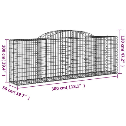 Cesti Gabbioni ad Arco 2 pz 300x50x100/120 cm Ferro Zincato - homemem39