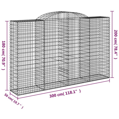 Cesti Gabbioni ad Arco 2 pz 300x50x180/200 cm Ferro Zincato - homemem39