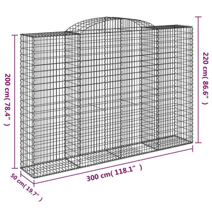 Cesti Gabbioni ad Arco 4 pz 300x50x200/220 cm Ferro Zincato - homemem39