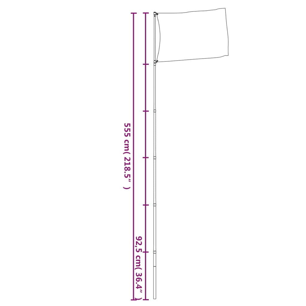 Asta Telescopica per Bandiere Argento 5,55 m in Alluminio - homemem39