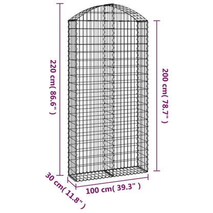 Cesto Gabbione ad Arco 100x30x200/220 cm Ferro Zincato - homemem39