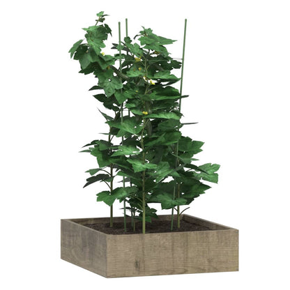 Supporti Piante da Giardino con 3 Anelli 5pz Verde 75cm Acciaio - homemem39