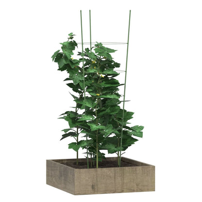 Supporti Piante da Giardino con 4 Anelli 5pz Verde 90cm Acciaio - homemem39