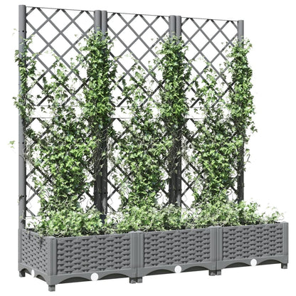 Fioriera Giardino e Graticcio Grigio Chiaro 120x40x121,5cm PP - homemem39