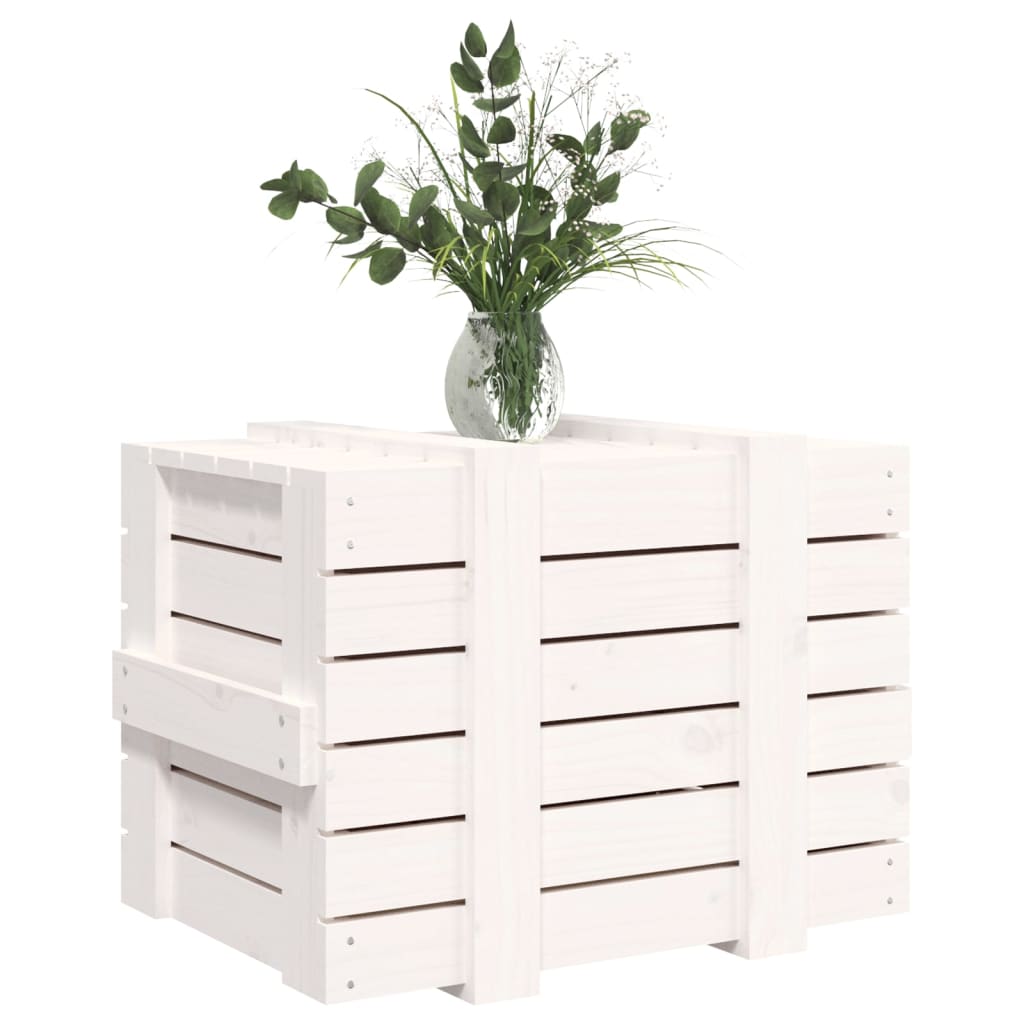 Contenitore Portaoggetti Bianco 58x40,5x42 cm Massello di Pino - homemem39