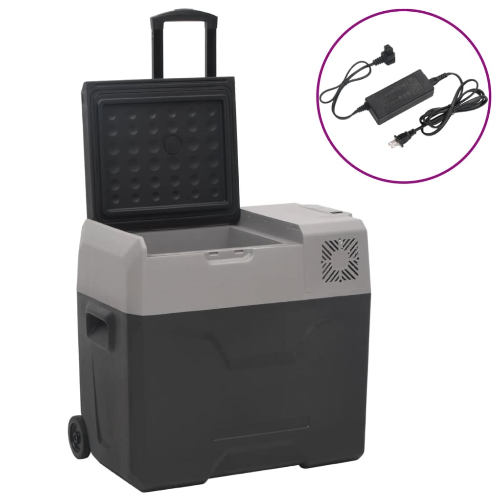 Borsa Frigo con Ruote Adattatore Nera Grigia 40 L Polipropilene - homemem39