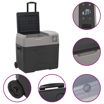 Borsa Frigo con Ruote Adattatore Nera Grigia 40 L Polipropilene - homemem39