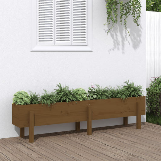 Fioriera Rialzata da Giardino Miele 160x30x38 cm Massello Pino - homemem39