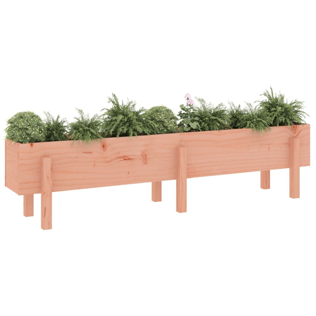 Fioriera Rialzata Giardino 160x30x38 cm Legno Massello Douglas - homemem39