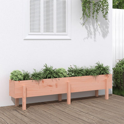 Fioriera Rialzata Giardino 160x30x38 cm Legno Massello Douglas - homemem39