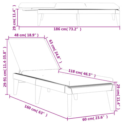 Lettino con Cuscino Antracite 186x60x29 cm in PP - homemem39