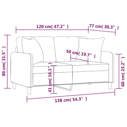 Divano a 2 Posti con Cuscini Grigio Chiaro 120 cm in Tessuto - homemem39