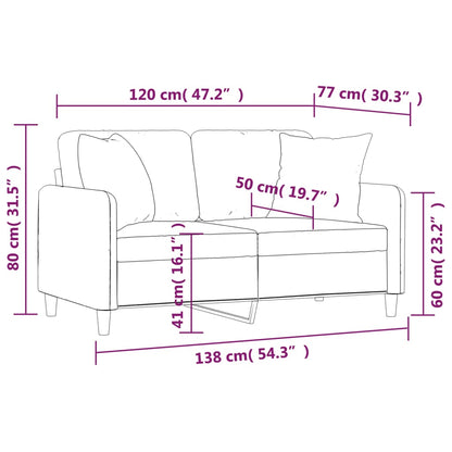 Divano a 2 Posti con Cuscini Grigio Scuro 120 cm in Tessuto - homemem39