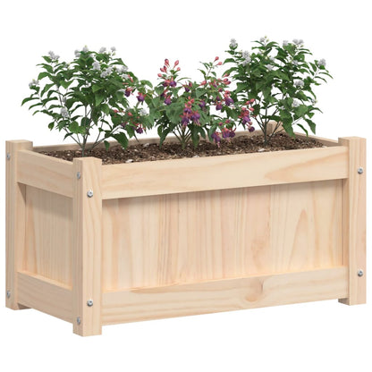 Fioriera da Giardino 60x31x31 cm in Legno Massello di Pino - homemem39