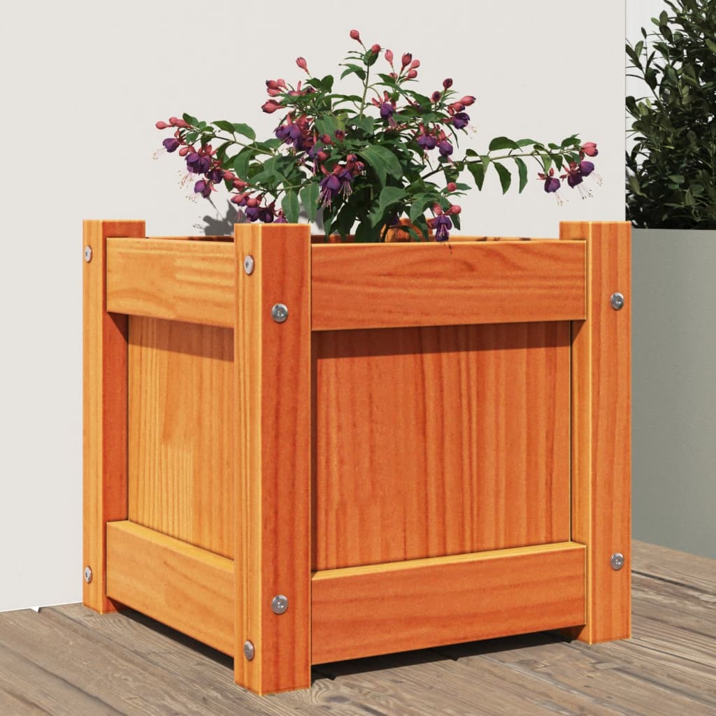 Fioriera Giardino Marrone Cera 31x31x31 cm Legno Massello Pino - homemem39