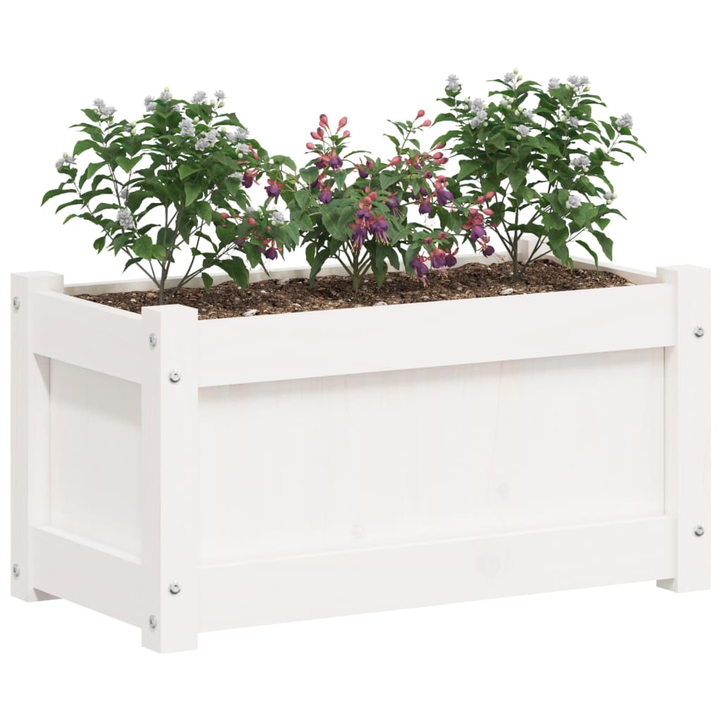 Fioriera da Giardino Bianca 60x31x31 cm Legno Massello di Pino - homemem39