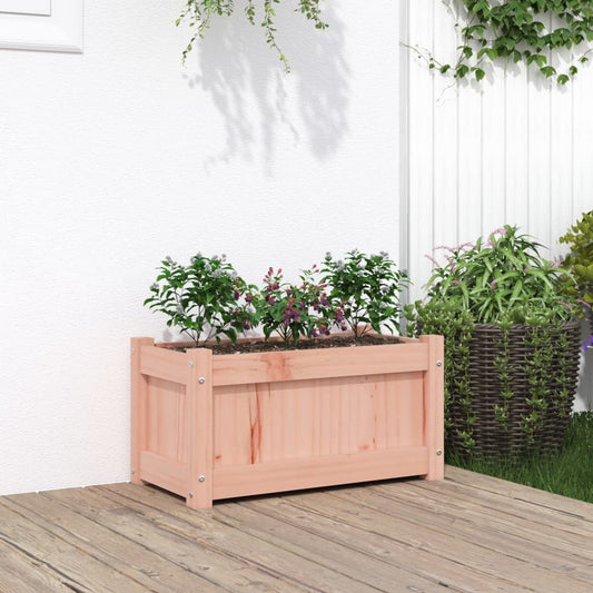 Fioriera da Giardino 60x31x31 cm in Legno Massello di Douglas - homemem39